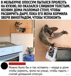Но содержать