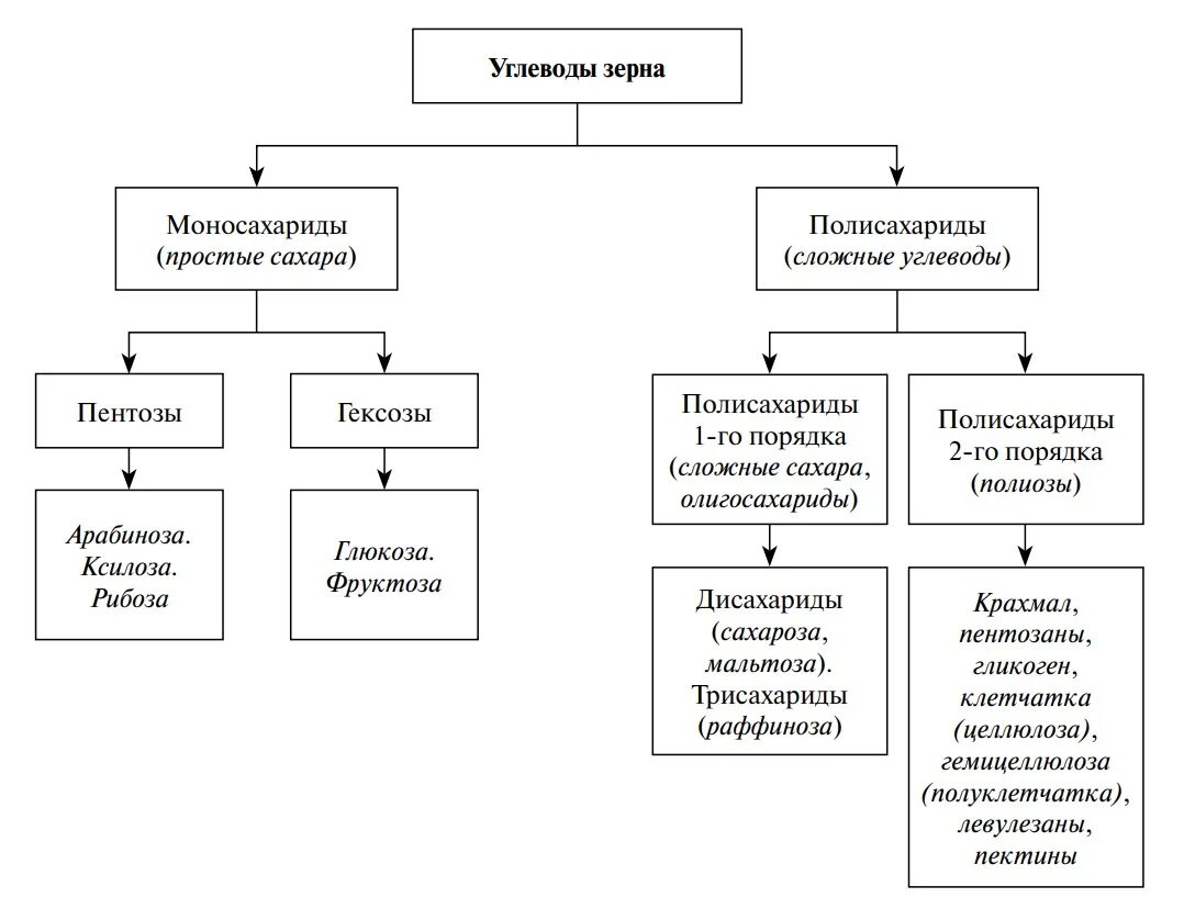 Углеводы делятся на группы. Классификация углеводов зерна. Углеводы в зерне. Углеводы делятся на. Классификация зерновых и масличных культур.