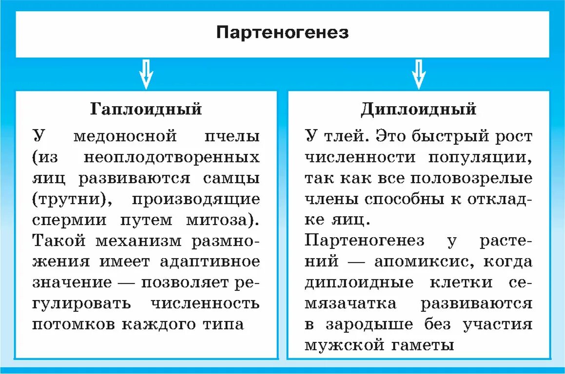 Биологическое значение гиногенеза
