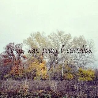 Ветер свистит