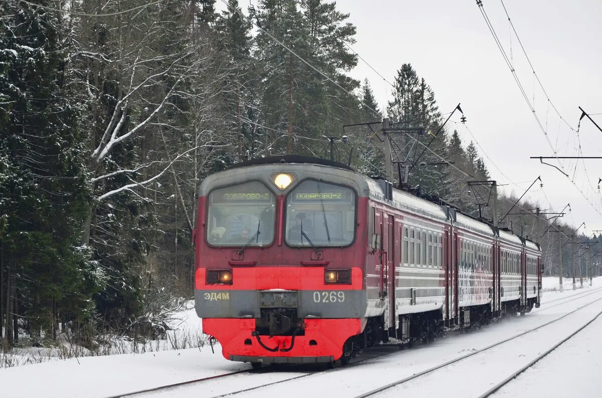 Состав электропоездов. Электричка эд4м. Моторвагонный подвижной состав. Электрички России. Локомотив фото.