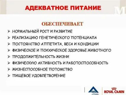 Адекватное питание
