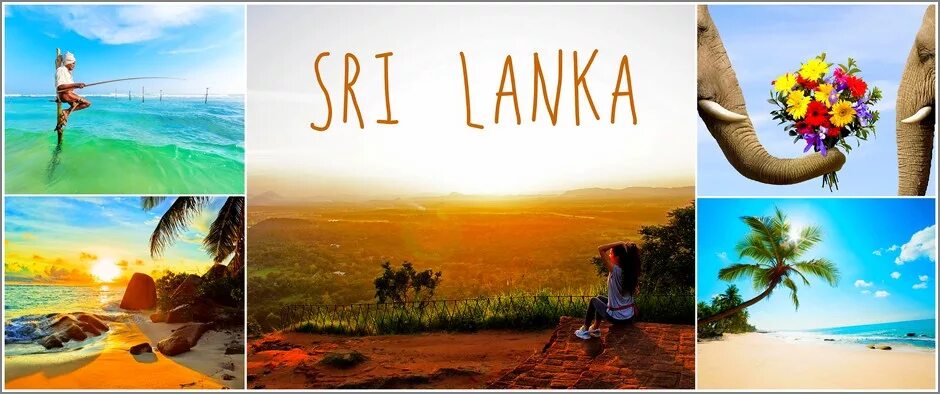 Туры на шри ланку с перелетом. Шри Ланка туризм. Шри Ланка надпись. Шри Ланка коллаж. Шри Ланка красивый коллаж.