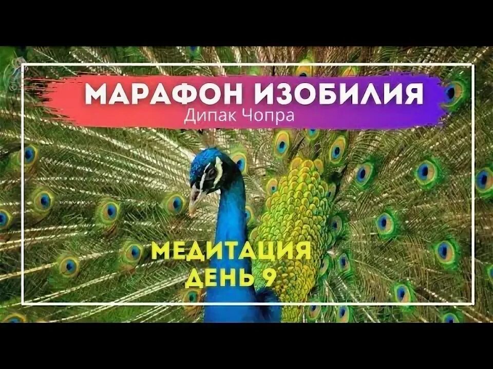 Дипак изобилие. Марафон изобилия Дипак Чопра. Марафон изобилия Дипак Чопра день 14. Марафон изобилия день 9. Марафон изобилия 4 день.