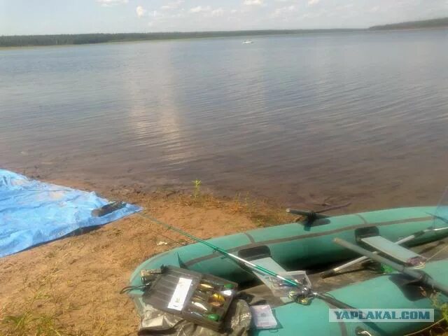 Золотые пески братское водохранилище. Погода на братском водохранилище. Рыбалка на братском водохранилище. Тангуй братского водохранилища. Золотые пески братск.