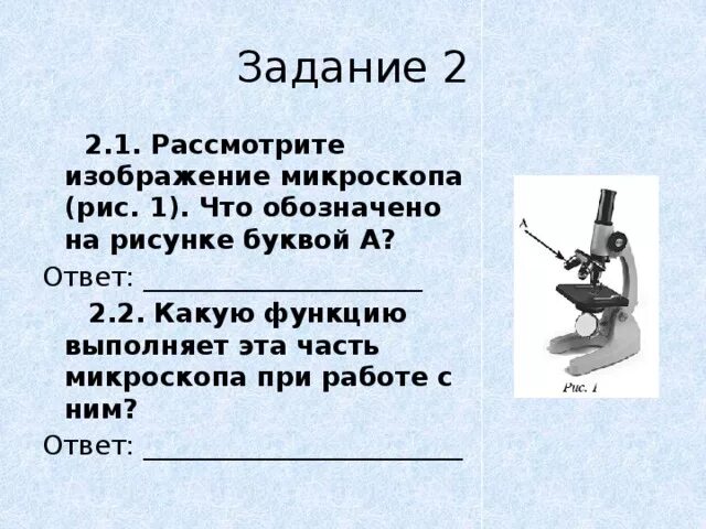 Какую функцию выполняет эта часть микроскопа при работе с ним. Какую функцию выполняет эта часть микроскопа при работе. Какие функции выполняют части микроскопа. 2. Какую функцию выполняет эта часть микроскопа при работе с ним?.