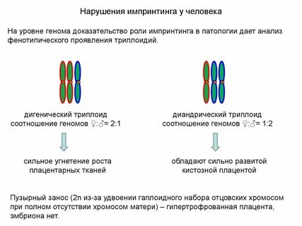 Геном уровне