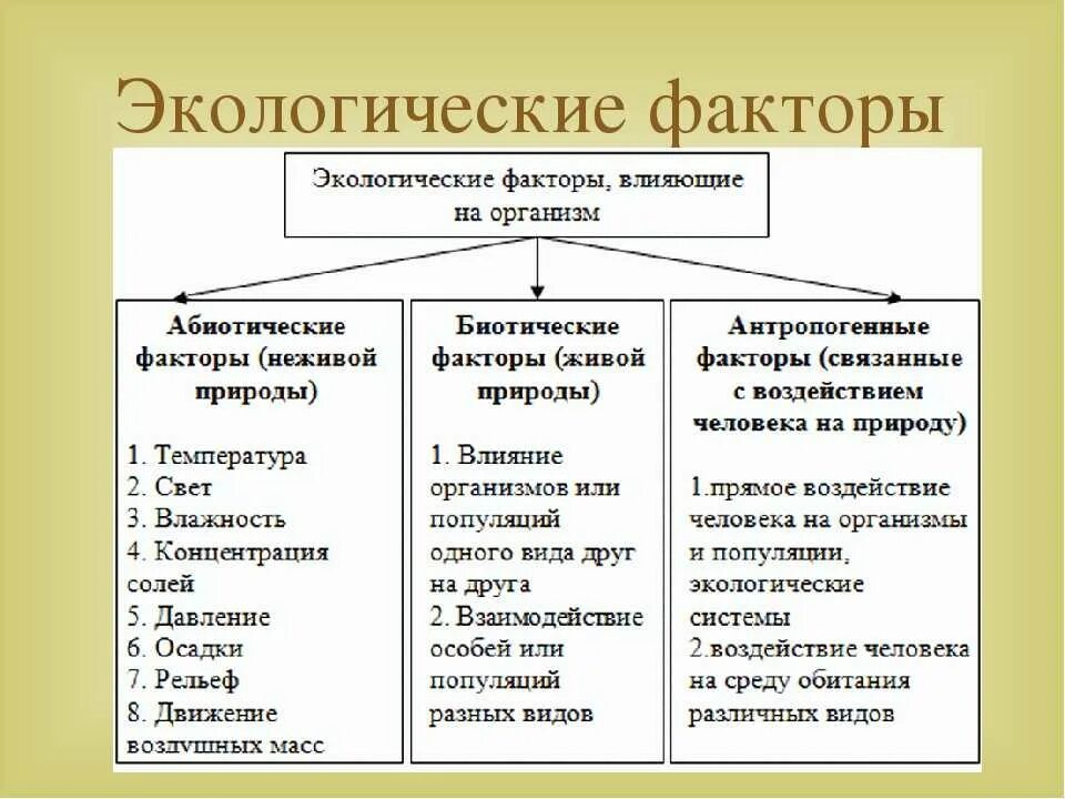 Экологические факторы организм биотические абиотические. Виды экологических факторов. Абиотический фактор это в экологии. Экологические факторы классификация абиотические факторы. Делится на три основные группы