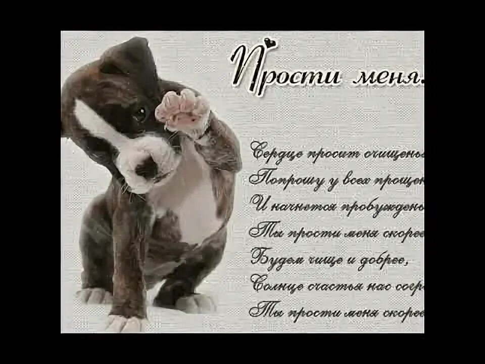 Попросить прощения у любимого в стихах. Открытки с просьбой о прощении. открытки с извинениями любимому. стихи с извинениями. открытка попросить прощения.
