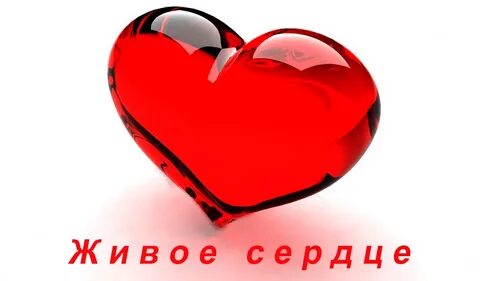 Живое сердце текст