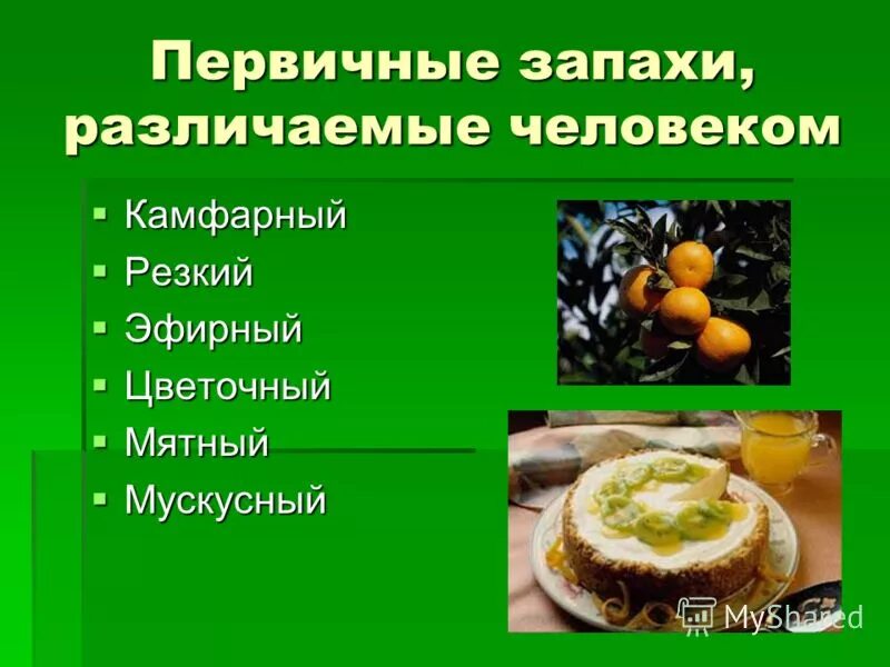 Сколько запахов различает человек. Обоняние и вкус. Сообщение о запахе. Шесть основных запахов. Сколько запахов различает человек.
