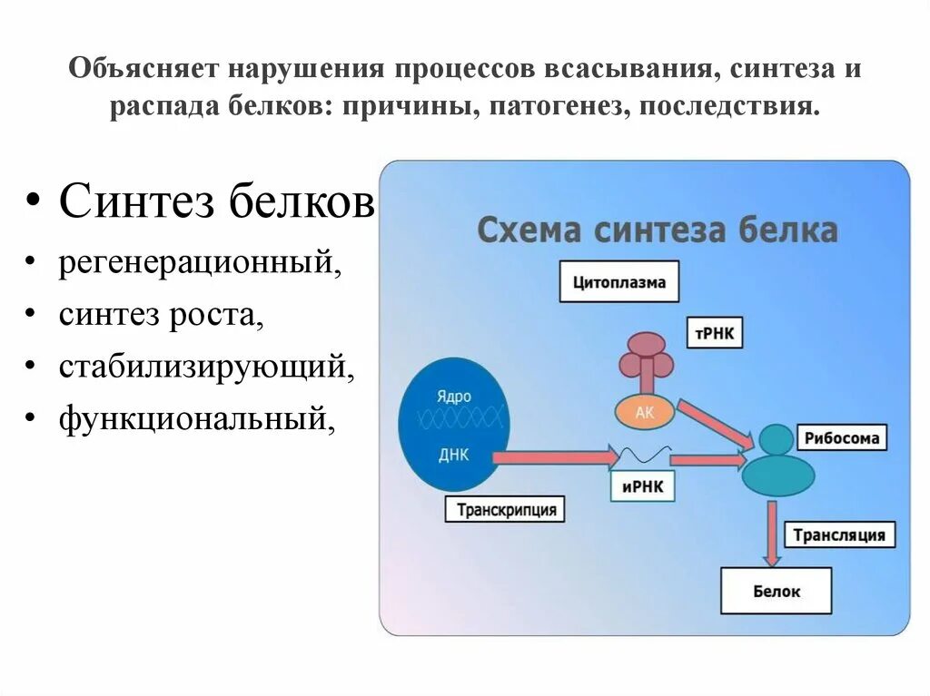 На какие мономеры распадаются белки перед всасыванием. Нарушение синтеза белка. Нарушения синтеза и распада белка. Причины и последствия нарушения синтеза белков. Последствия нарушения синтеза белка.