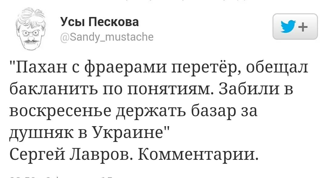 Усы пескова телеграмм телеграм. Усы пескова юмор. Усы пескова телеграмм телеграм. Усы пескова @sandy_mustache. Усы пескова телеграмм телеграм.