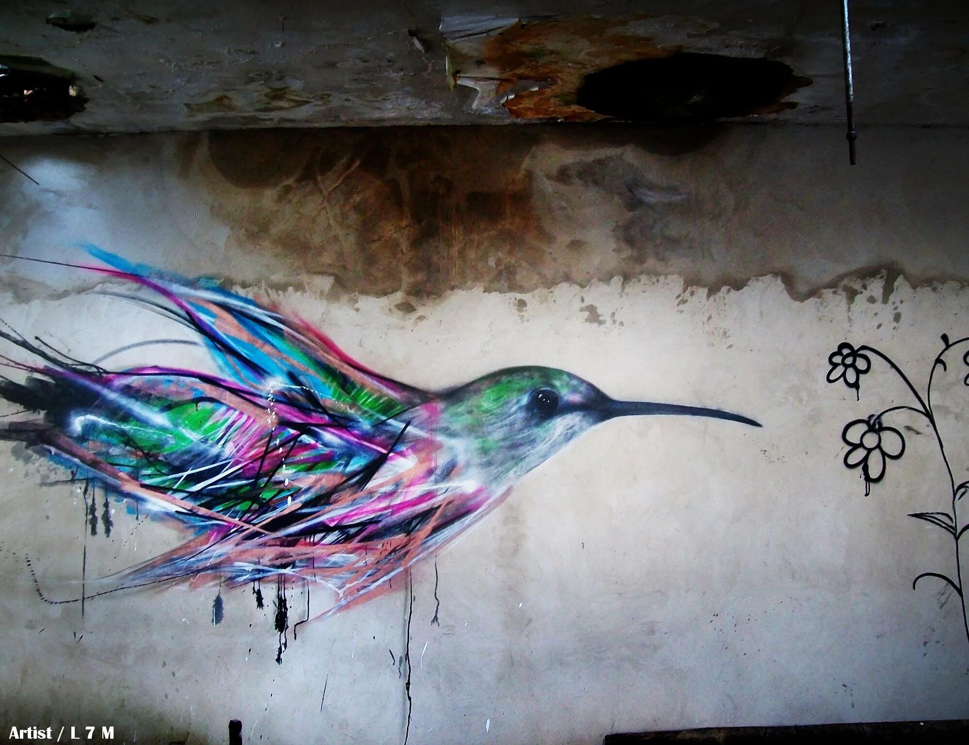 Галактическая птица. Художественные граффити. Стрит арт птицы. Колибри на стене. Граффити птица яркая.