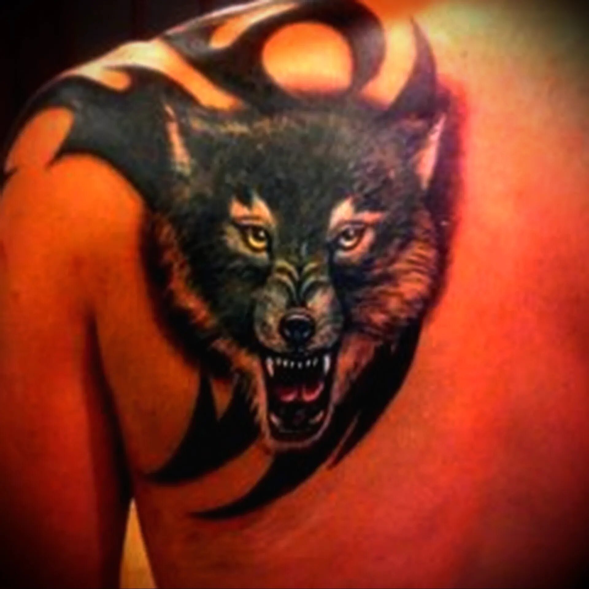 Эскизы тату волка на лопатке. Тату волк на лопатке мужские. Тату волк на лопатке. Татуировка волк на лопатке мужские. Тату волка на лопатке для мужчин.