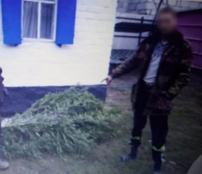 Авария ольховатка воронежская область. Село ольховатка воронежская область. Розыск ольховатка. Авария в ольховатке сегодня. Дтп ольховатка воронежская.