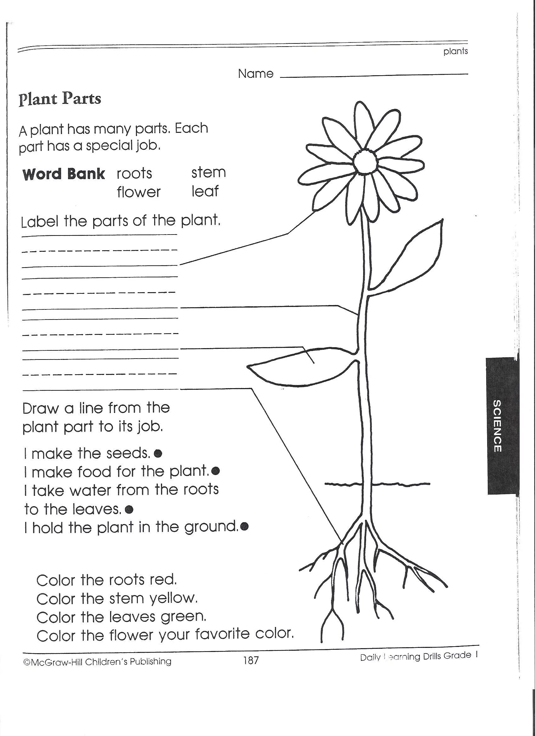 Parts of the Plant Worksheets. Растения Worksheets for Kids. Задания по теме растения английский. Plants растения Worksheets for Kids. Plants task