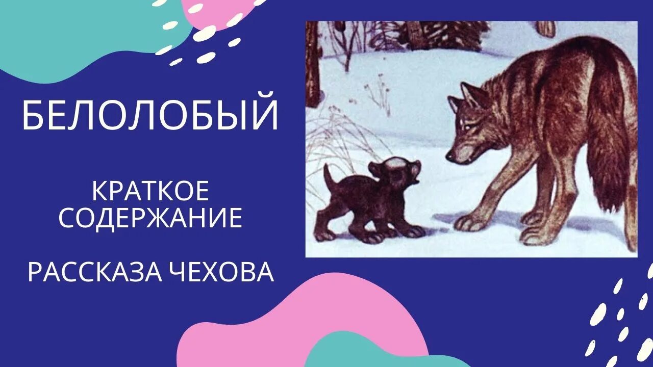 Иллюстрации к рассказу Чехова белолобый. Чехов а.п. "белолобый". Краткое содержание Чехова белолобый. Рассказ белолобый Чехов.