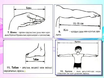 Алексис Техастың бөксесі