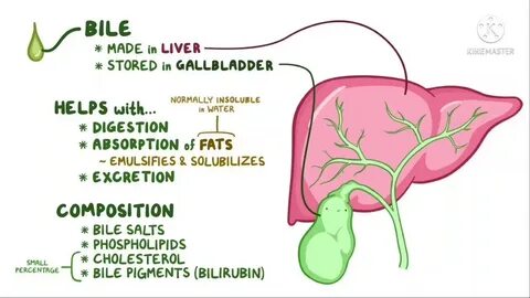 Gallbladder formula