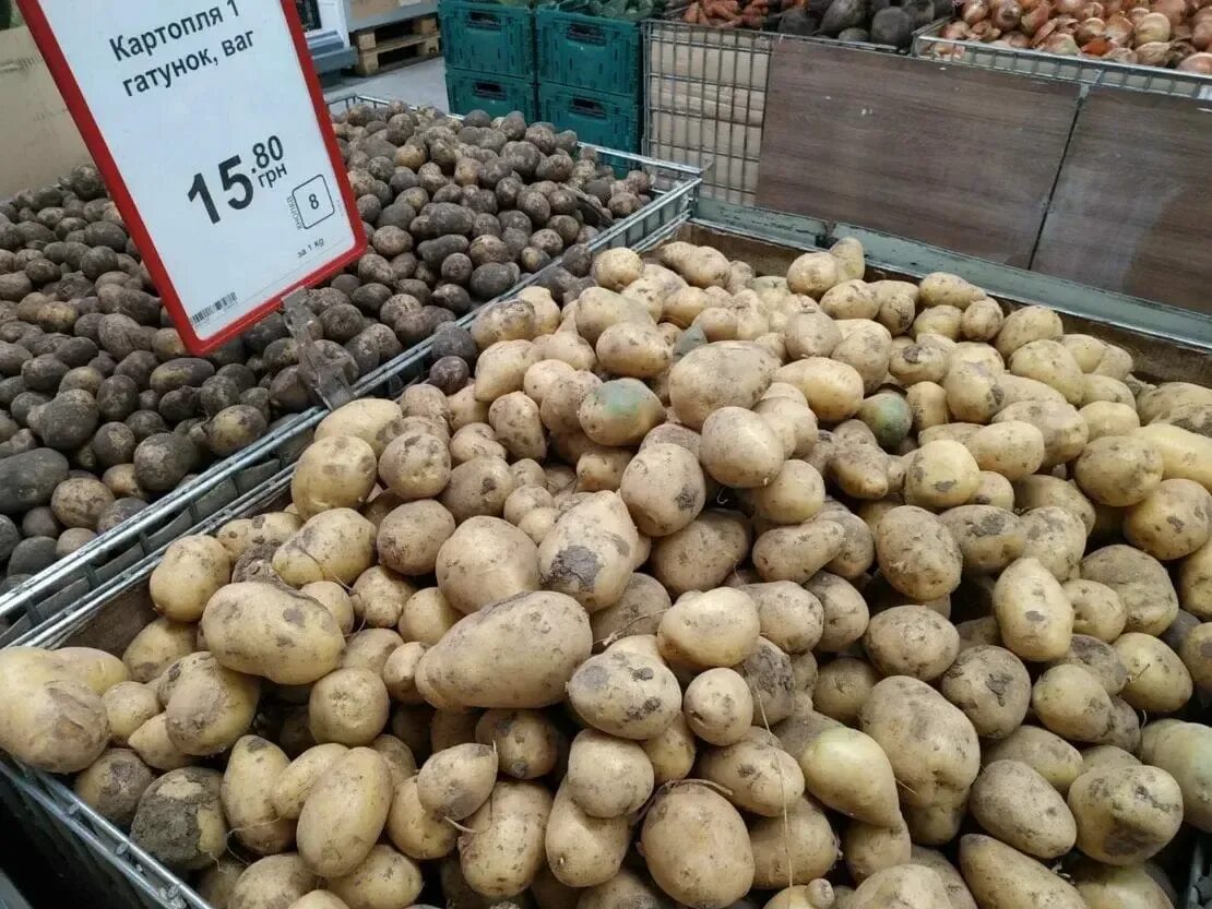 Магазин картофель россия