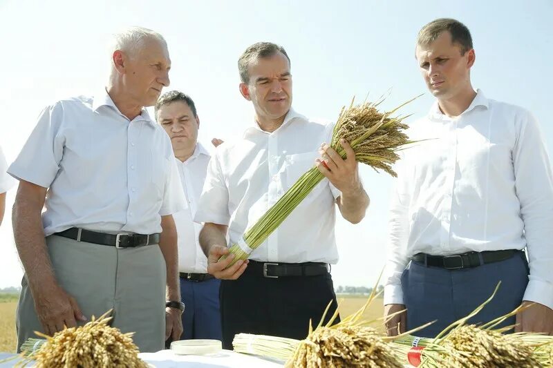 Рис кфх