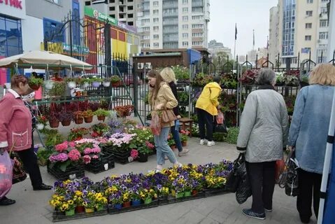 Белэкспоцентр выставки 2024 год