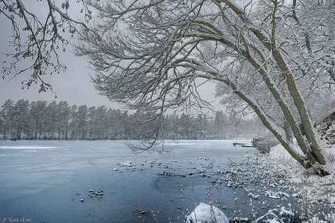 Снег 6 букв