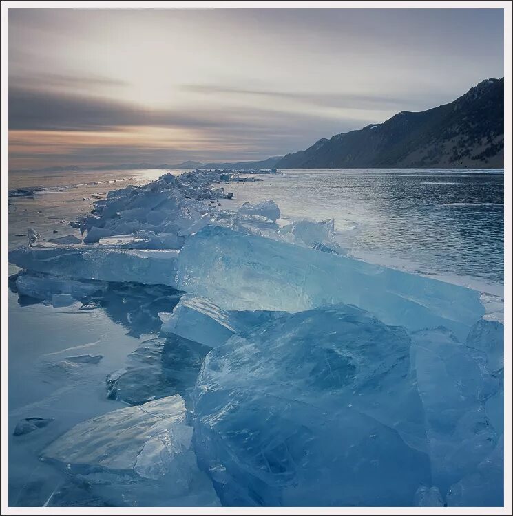 Автору байкал. Ольхон зимой. Белое море лед. Розы на льду Байкала. Лед картинки.