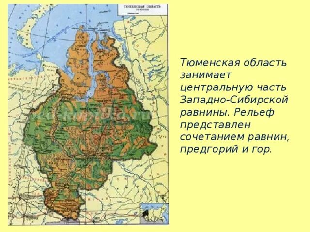 Тюменская область низменность рельеф. Западно-Сибирская низменность границы на карте. Расположение на карте Западно сибирской равнины. Районы Западно сибирской равнины.