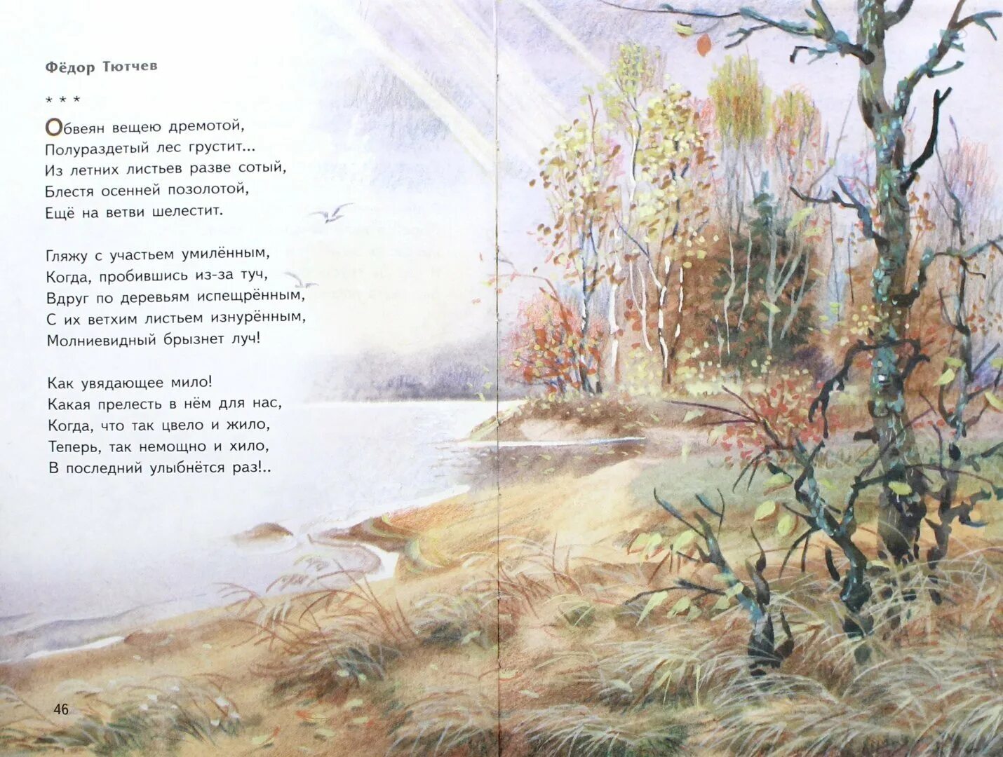 Иллюстрация к стихотворению. Родная природа в стихотворениях русских поэтов. Большая поэзия для маленьких детей. Иллюстрация к стихотворению о родной природе. Российские просторы березы есенин.