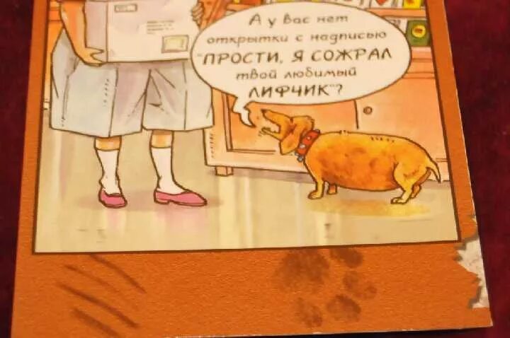 Берет интервью мем. Ты забыл меня поздравить с днем рождения. Забыл про др открытки. Тот день когда тебя все любят. Я забыл про твоих бывших.