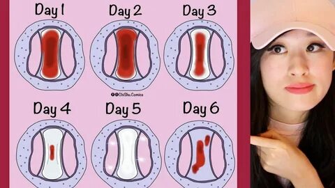 Олар оны өздерінен сорып алады