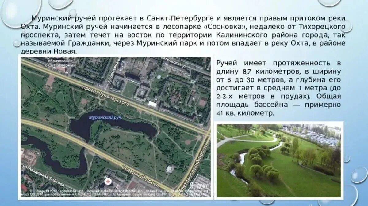 Протек санкт петербурга. Парк муринского ручья план. муринский парк план. парк ручейй марьинский ручей. муринский парк в санкт-петербурге план.