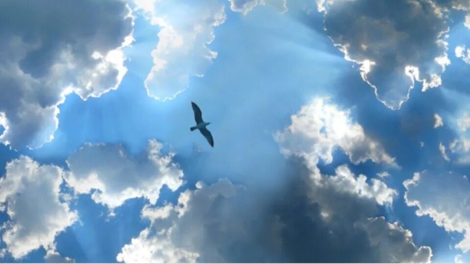 Небеса обитала. Небеса обитала. Ангел в небе. Ангел уходит в небо. В небе живут.