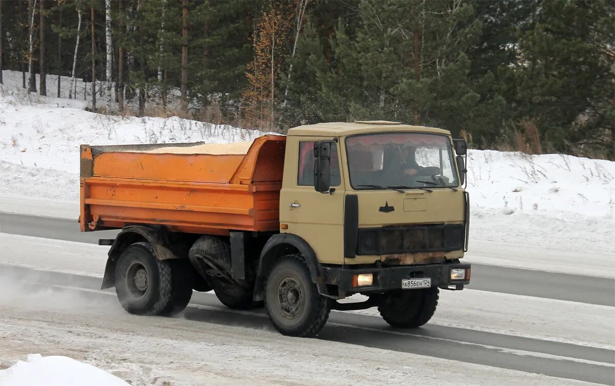 Самосвалы бу красноярский край. МАЗ 5551 самосвал 4х4. МАЗ-5551 грузовой. Грузовик МАЗ 5551. МАЗ 5551 самосвал ранний.