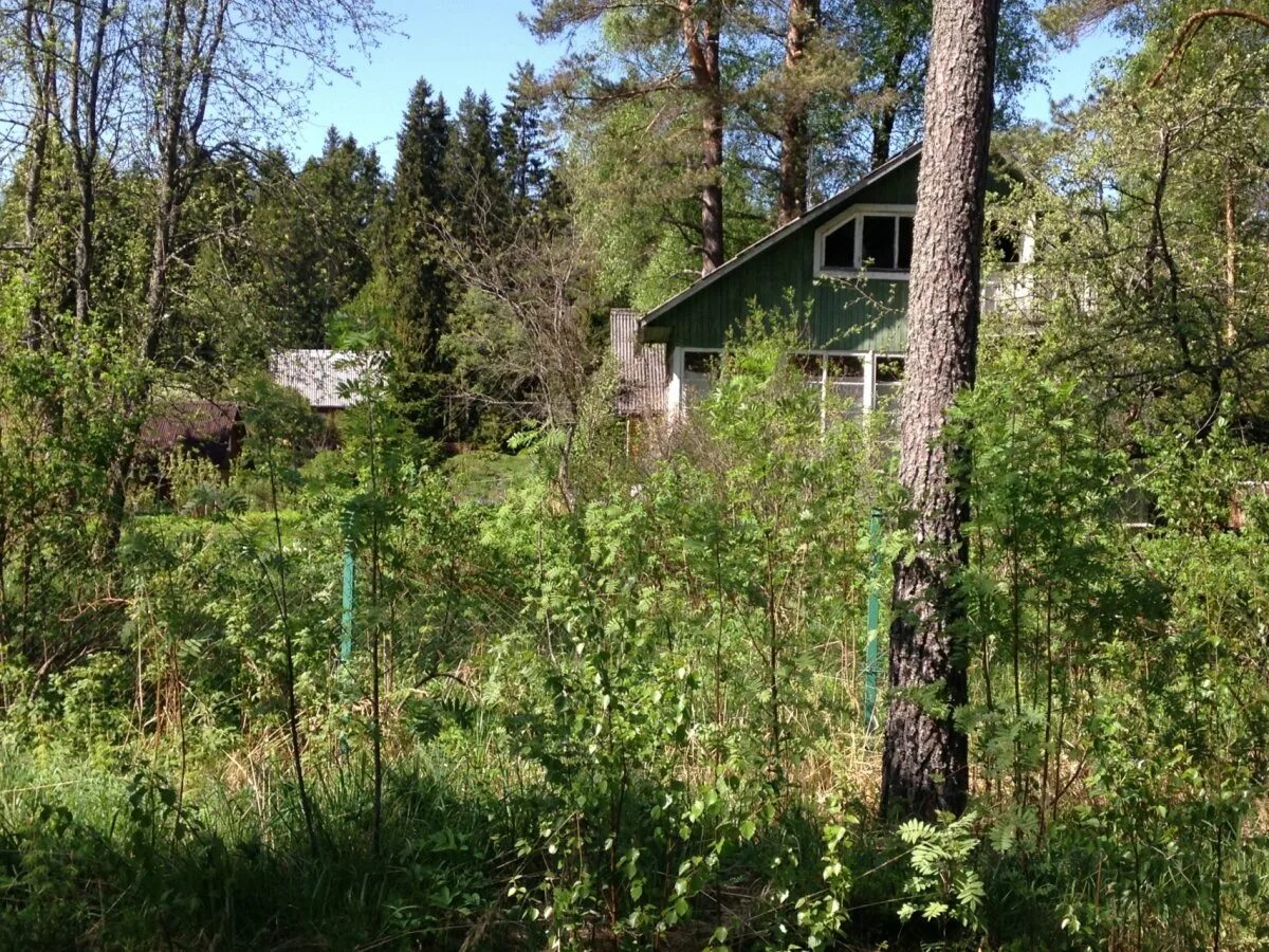 Дачи в курортном районе. Дача архитектора ф. Овидиополь. Дачи в курортном районе. Дача кречева в сестрорецке.