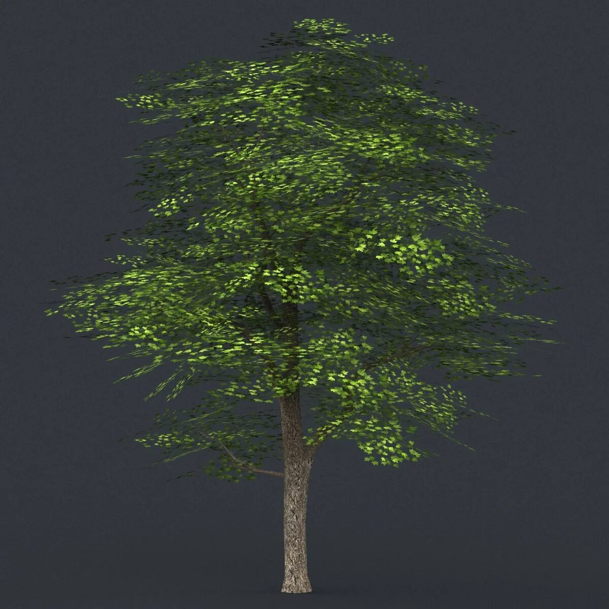 Low poly tree. 3d low poly tree. 3d models tree midpoly. low poly tree 3d model. 3д модель дерева fbx.