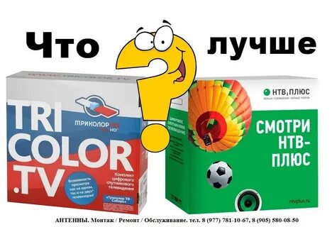 Ntvplus tv