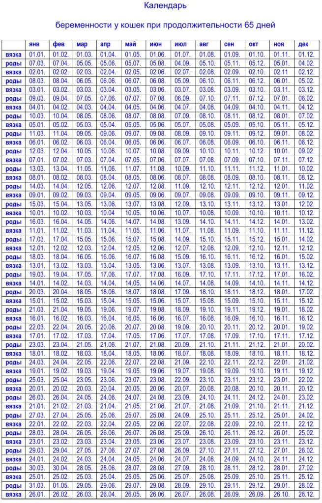 Календарь беременности. Алендарь береименности. Календурь бкоеменности. Календарь по беременности.