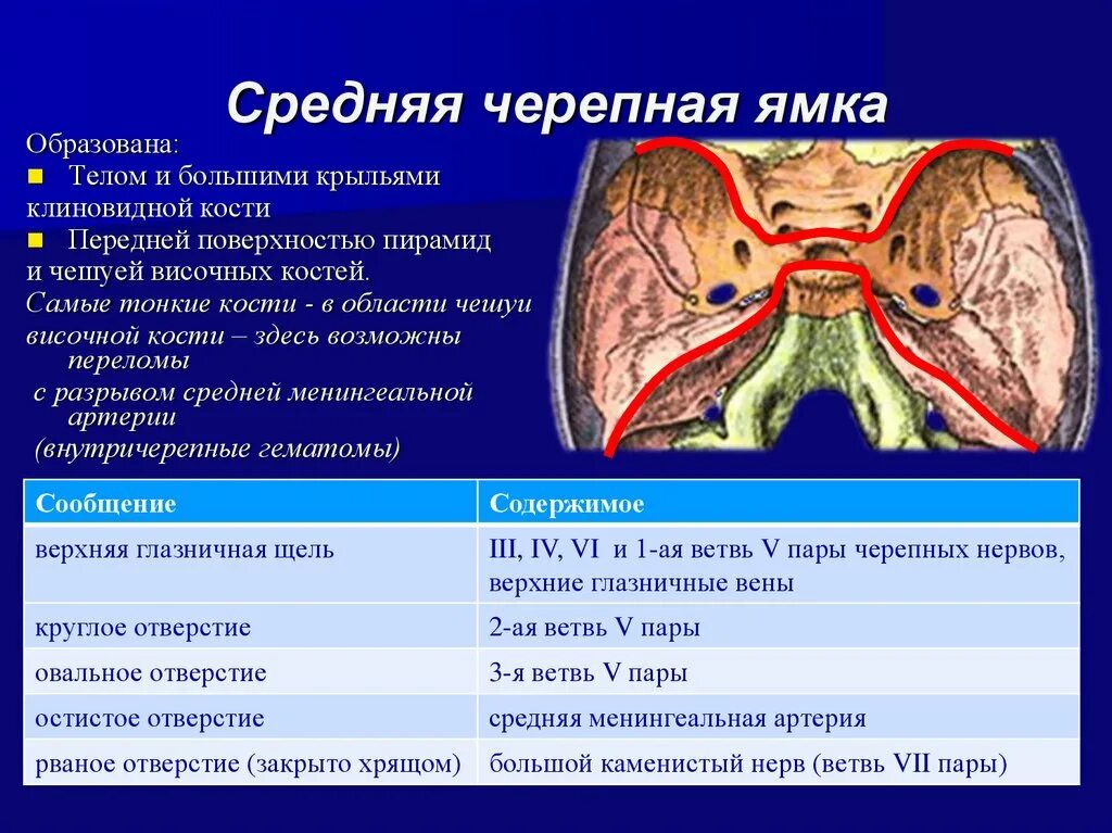 Какие из перечисленных структур расположены. Черепные ямки внутреннего основания черепа. Менингиомы черепной ямки. Анатомия черепа средняя черепная ямка. Границы средней черепной ямки.