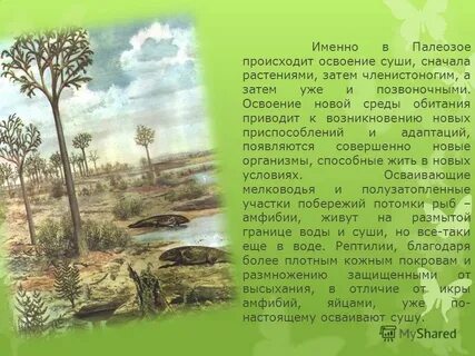 Какие растения господствовали
