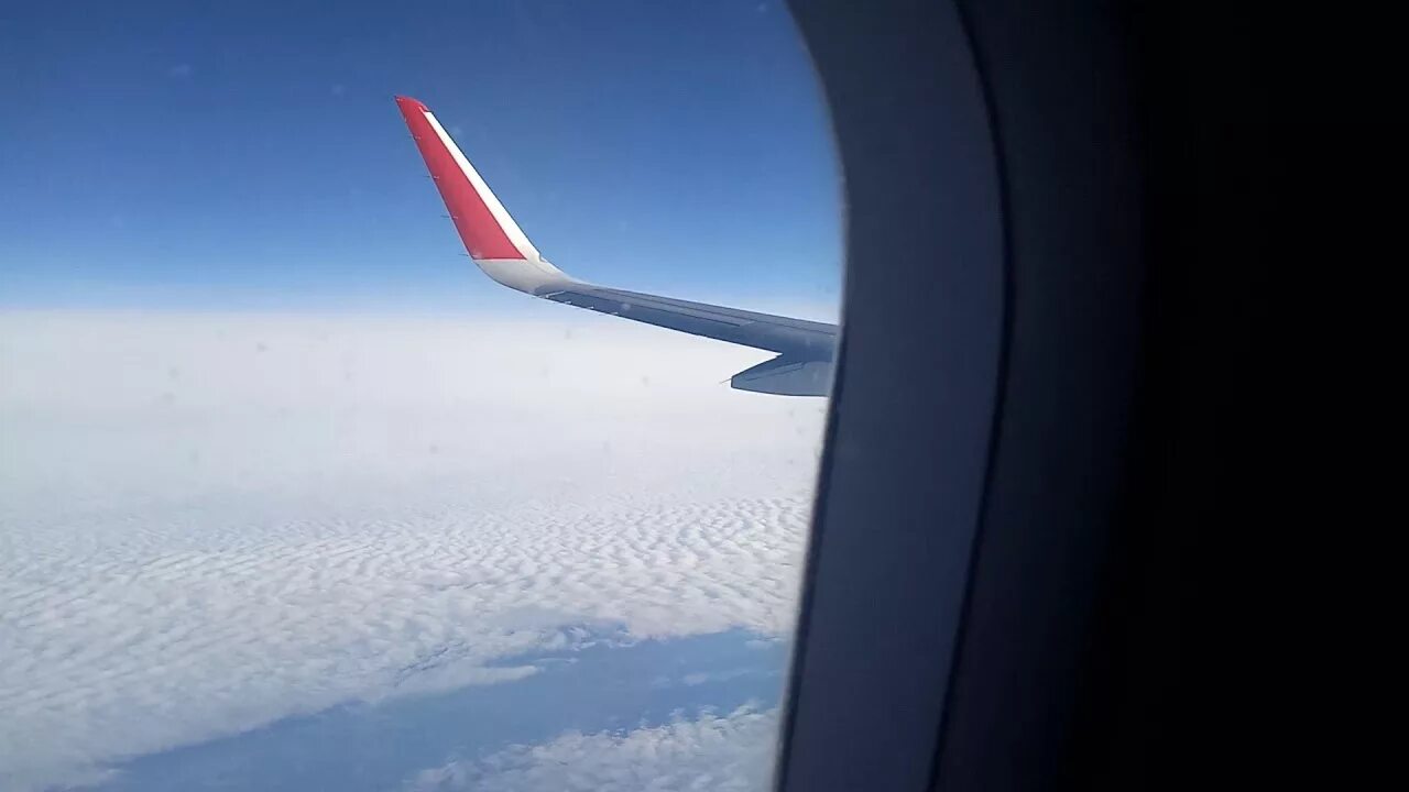 Аэробус а 320 салон посадочные места. Рассадка в самолете airbus a320. Самолёт аэробус а320 салон. A320-100/200. Самолёт аэробус а320.