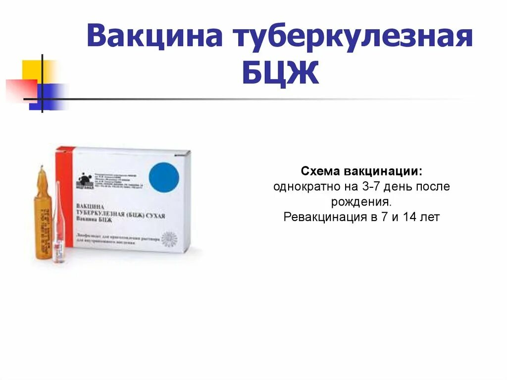 Вакцина против бцж. Вакцинация БЦЖ препарат. Вакцина туберкулезная БЦЖ сухая. Сухая Живая вакцина БЦЖ.