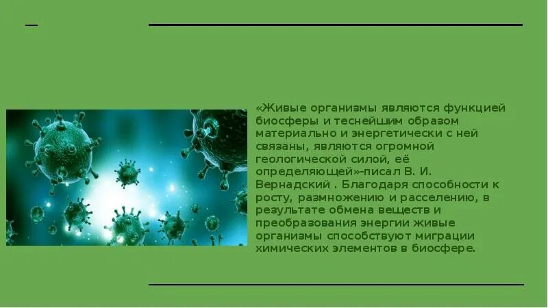 На которой находится необходимый для живых организмов. Роль живых организмов в биосфере 11 класс. Живые организмы являются функцией биосферы. Роль в организме. Роль живого вещества.