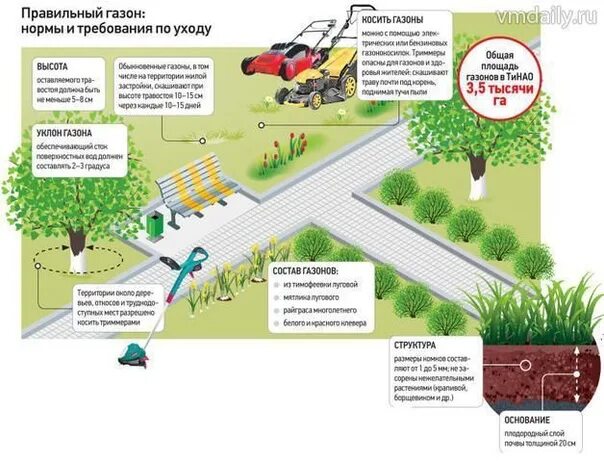 Газон схема. Схема кошения газона. Схема посевного газона. Инфографика газон. Максимальный уклон площадок