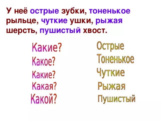 Чуткие ушки зверька ловят сигнал падежи. У лисы зубки острые рыльце тоненькое прилагательные. Зубки острые рыльце тоненькое. Чуткие ушки падеж. Пушистый прилагательное.