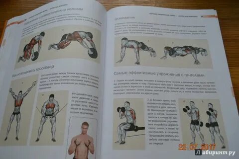 Сандов книга