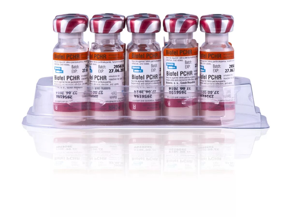 Биофел чешская вакцина. Вакцина биофел pchr. Bioveta биофел pchr. Вакцина для кошек чехия. Bioveta биофел pchr.