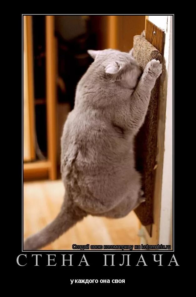 песня четыре стены пол потолок. одиночество боль. колечко текст песни.